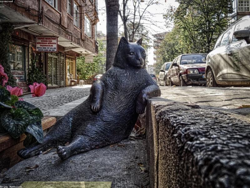Sevk İrsaliyesi